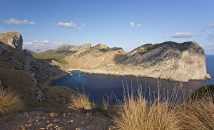 Images Dated 8th September 2009: Formentor Beach, Majorca, Balearic Islands, Spain, Mediterranean, Europe