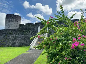 Fortifications Prints: Fort Belgica stands on Banda Neira with flowers