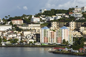 Martinique Prints: Fort-de-France