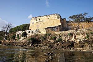 Images Dated 5th January 2008: Fort Jesus, Mombasa, Kenya, East Africa, Africa