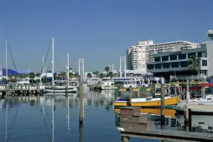 Florida Prints: Fort Lauderdale, Florida, United States of America (U