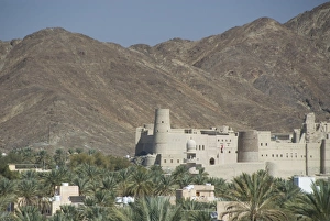 Border Prints: Fort in palmery on edge of modern oasis town, Bahla, Oman, Middle East