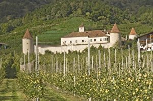 Apple Tree Prints: Fortified house surrounded by apple orchards