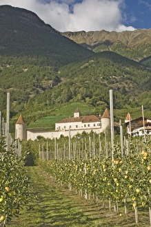Fortified house surrounded by apple orchards