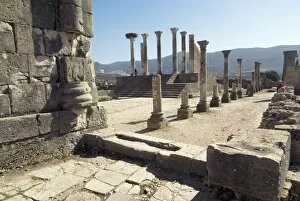 Images Dated 7th November 2007: Forum, Roman site of Volubilis, UNESCO World Heritage Site, Morocco, North Africa, Africa