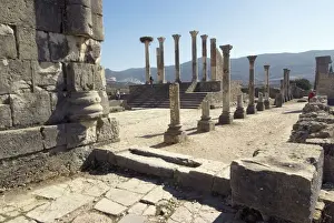 Forum Prints: Forum, Roman site of Volubilis, UNESCO World Heritage Site, Morocco, North Africa, Africa