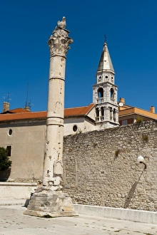 Images Dated 16th August 2010: The Forum, Zadar, Zadar county, Dalmatia region, Croatia, Europe