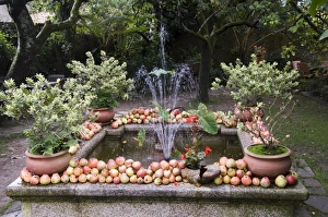 Santiago De Compostela Prints: Fountain with apples