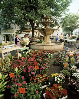 Flower Market Prints: Fountain and flower market, Place aux Aires, Grasse, Alpes-Maritimes, Provence
