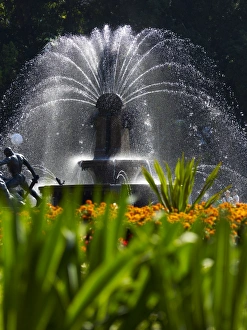 Images Dated 13th May 2009: Fountain, Hyde Park, Sydney, New South Wales, Australia, Pacific