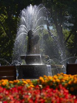 Images Dated 13th May 2009: Fountain, Hyde Park, Sydney, New South Wales, Australia, Pacific