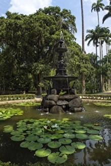 Stereotypically Brazilian Prints: Fountain of the Muses, Rio de Janeiro Botanical Gardens