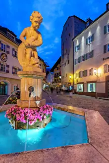 Nightlife Prints: Fountain with statue surrounded by flowers at dusk in Stadtplatz