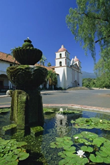 Fountain with water lilies