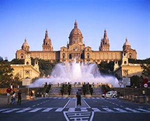 Common Prints: Fountains in front of the National Museum of Art