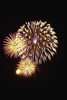 Fire Works Prints: Fourth of July firework display