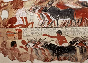 Tomb Prints: Fragment of a tomb painting dating from around 1400 BC from Thebes, Egypt