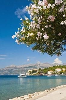 Franciscan Monastery, Lopud Island, Elaphiti Islands (Elaphites), Dalmatian Coast, Adriatic Sea, Croatia, Europe