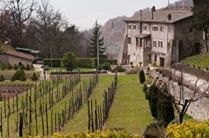 Franciscan Prints: Franciscan sanctuary of La Foresta, Rieti, Lazio (Latium), Italy, Europe