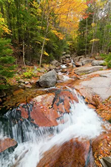 Stream Collection: Franconia Notch State Park, New Hampshire, New England, United States of America, North America