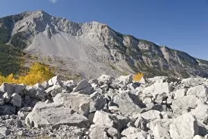 Images Dated 6th October 2008: Frank Slide (massive rockslide of limestone from Turtle Mountain that buried town in 1903)