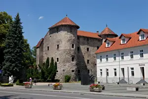 L Imestone Prints: The Frankopan Castle, built in the 16th century close the gorge of the River Dobra
