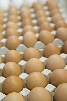 Images Dated 26th June 2007: Free range eggs for sale