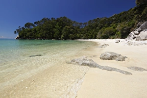 Nelson Region Prints: Frenchmans Bay beach, Abel Tasman National Park