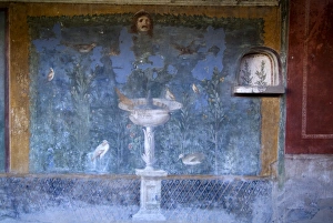 Fresco from the House of Venus
