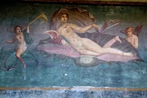 Campania Prints: Fresco from the House of Venus
