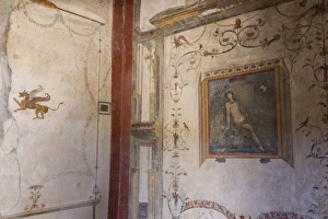 Pompeii Prints: Frescoes, Casa dell Ara Massima, Roman ruins of Pompeii, UNESCO World Heritage Site
