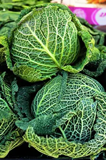 Farmers Prints: Fresh cabbages are displayed in a market for sale and show their green leaves in France for shoppers to choose