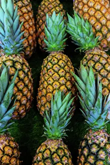 Freshness Prints: Fresh pineapples arranged neatly in a display on a surface in France during the daytime
