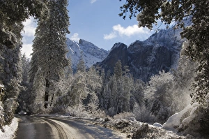 Yosemite Prints: Fresh snow fall