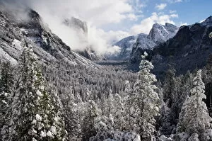 Fresh snow fall on El Capitan in Yosemite Valley
