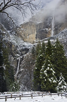 Yosemite Prints: Fresh snow fall on Yosemite Falls