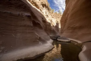 Fresh water in a slot canyon at Mesquite Canyon, Sierra de la Giganta
