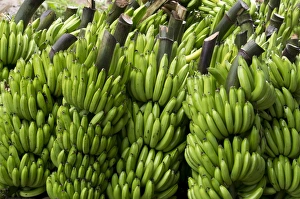 Banana Prints: Freshly cut bananas, Peru, South America