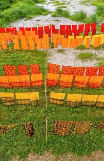 Hanging Prints: Freshly dyed clothes hang to dry in a village field in Bangladesh