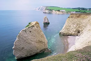 Sea Stack Gallery: Freshwater Bay, Isle of Wight, England, United Kingdom, Europe