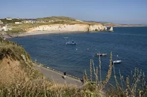 Images Dated 11th August 2008: Freshwater Bay, Isle of Wight, England, United Kingdom, Europe
