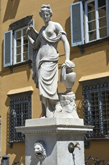 Lucca Prints: Freshwater fountain in the Piazza San salvatore, Lucca, Tuscany, Italy, Europe