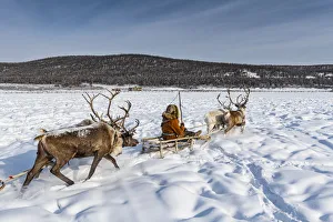 Sleigh Prints: Friendly Evenc family on sledges pulled from reindeers, Oymyakon