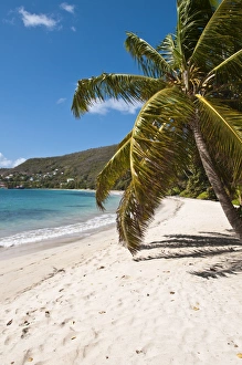 Friendship Bay beach, Bequia, St. Vincent and The Grenadines, Windward Islands