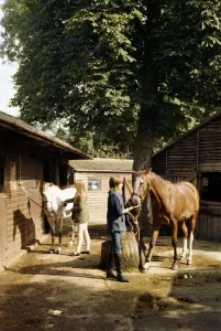 Tee Nager Prints: Frith Manor Livery Stables, England, United Kingdom, Europe
