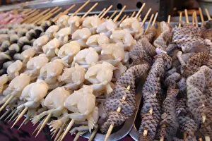 Kebab Prints: Frogs legs and snake skin at Donghuamen Yeshi night market, Beijing, China, Asia