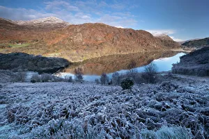 Chill Prints: Frost covered Bracken above Llyn Dinas in winter