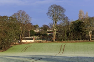 County Tipperary Prints: Frost covered farmland, Marlfield Village, County Tipperary, Republic of Ireland, Europe