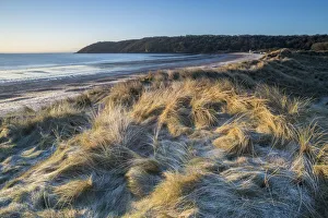 Dunes Prints: Frost on dunes, Oxwich Bay, Gower, South Wales, United Kingdom, Europe