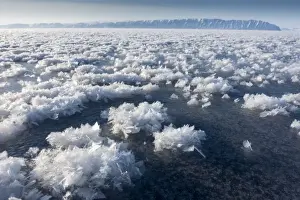 Sea Ice Prints: Frost flowers formed on thin sea ice when the atmosphere is much colder than the underlying ice